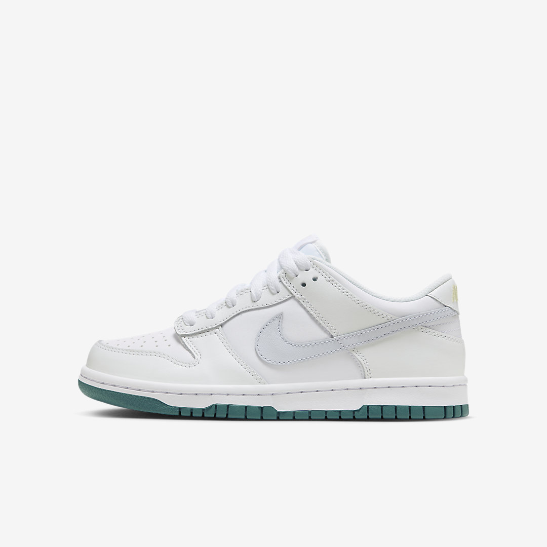 Nike Dunk Low GS FD9911-101