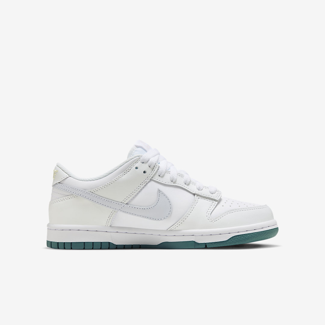 Nike Dunk Low GS FD9911-101