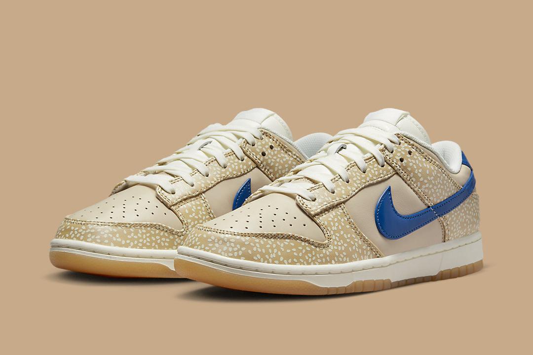 Nike Dunk Low "Montreal Bagel" DZ4853-200