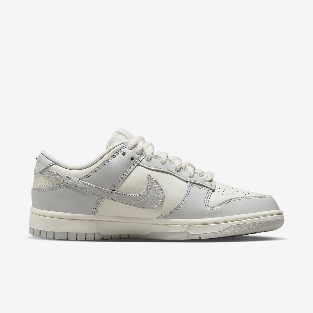 Nike Dunk Low FJ4553-133