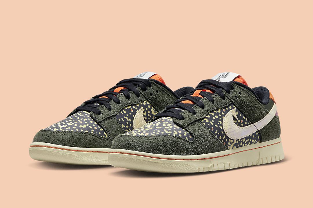 Nike Dunk Low "Rainbow Trout" FN7523-300