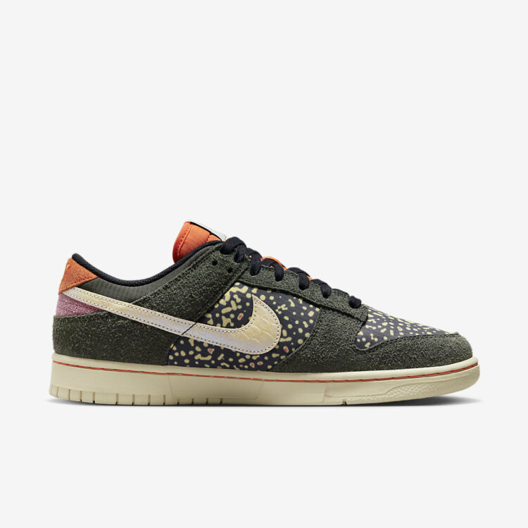 Nike Dunk Low "Rainbow Trout" FN7523-300