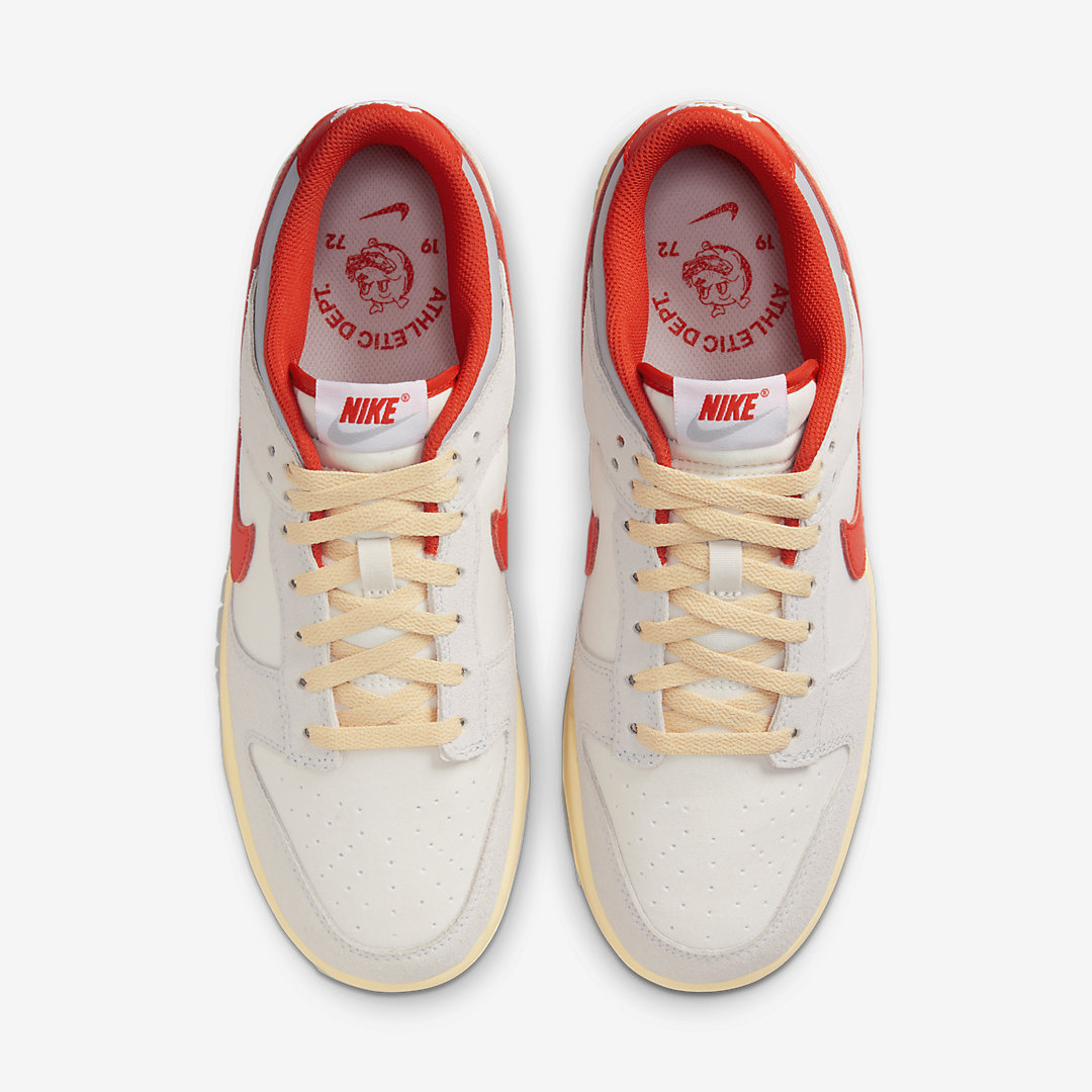 Nike Dunk Low WMNS FJ5429-133