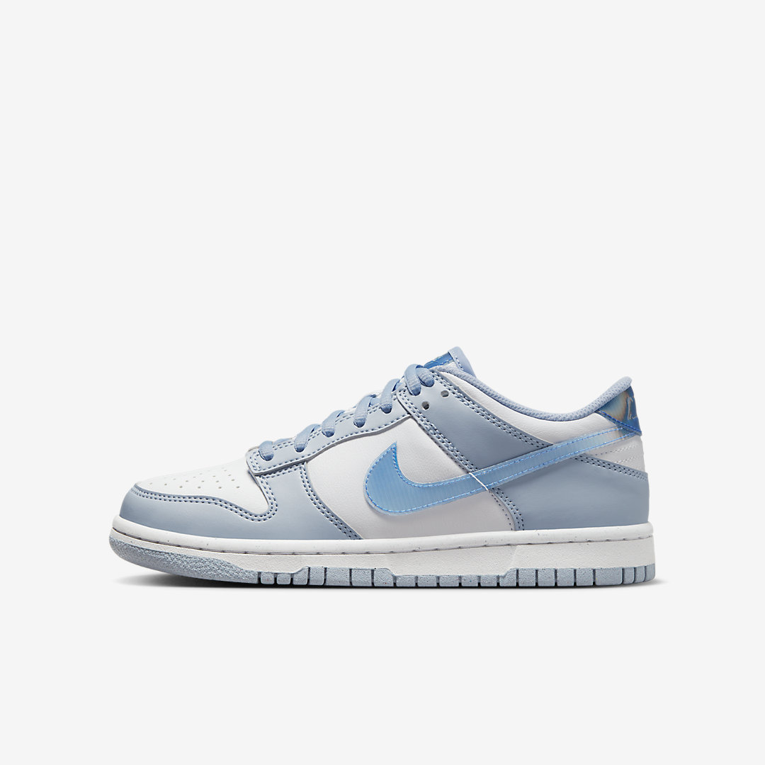 Nike Dunk Low GS FJ4668-400