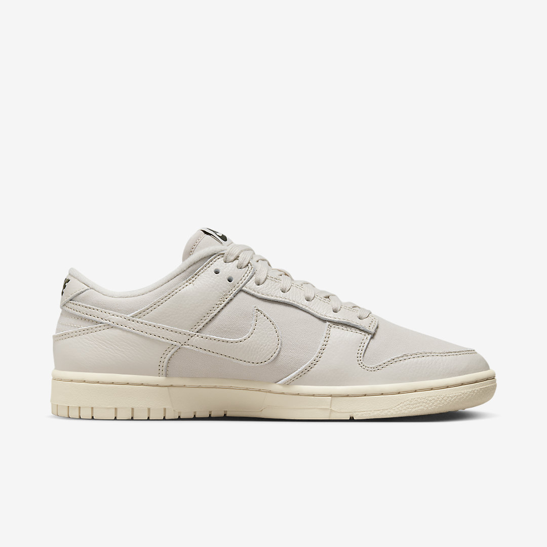 Nike Dunk Low Premium DZ2538-100