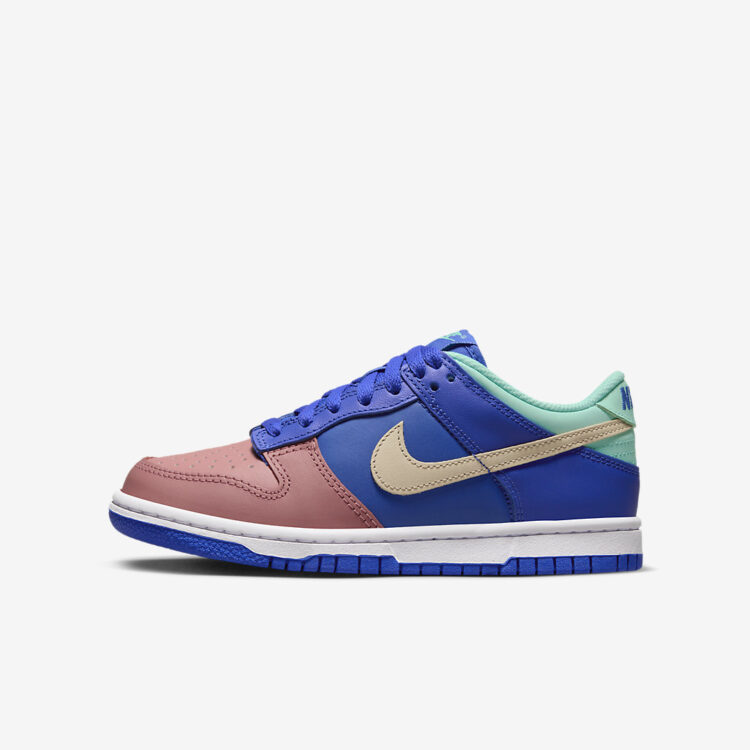 Nike Dunk Low GS "Salmon Toe" DZ2873-400