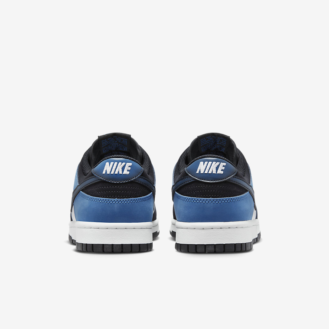 Nike Dunk Low FD6923-100