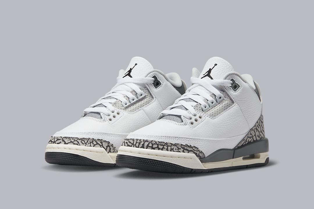 Air Jordan 3 GS "Hide N' Sneak" DX6665-100