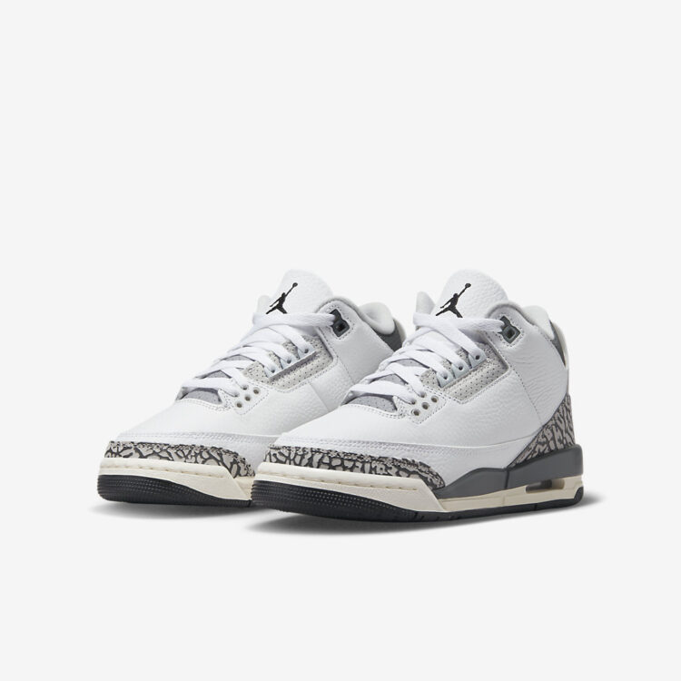 Air Jordan 3 GS "Hide N' Sneak" DX6665-100