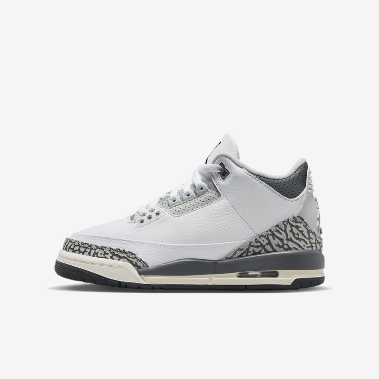 Air Jordan 3 GS "Hide N' Sneak" DX6665-100