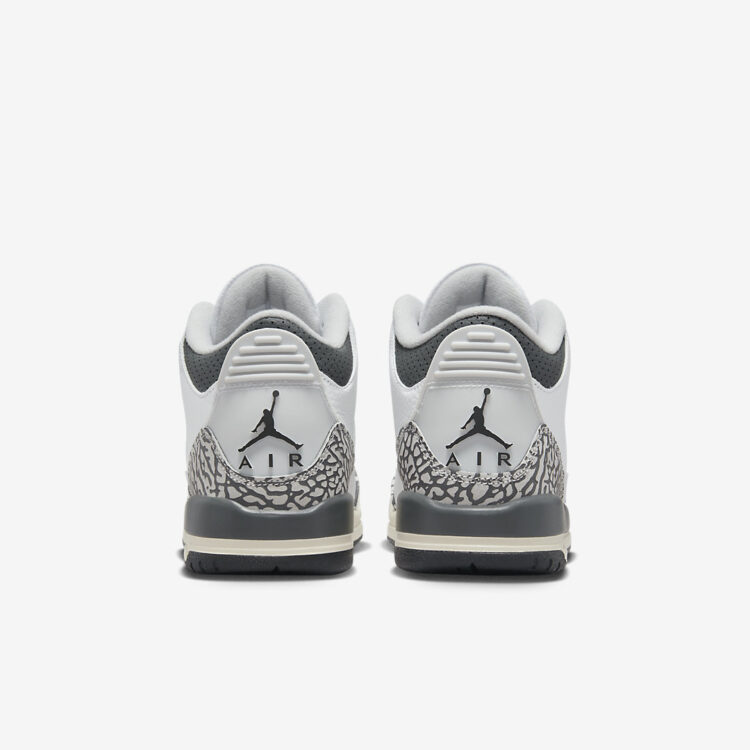 Air Jordan 3 GS "Hide N' Sneak" DX6665-100