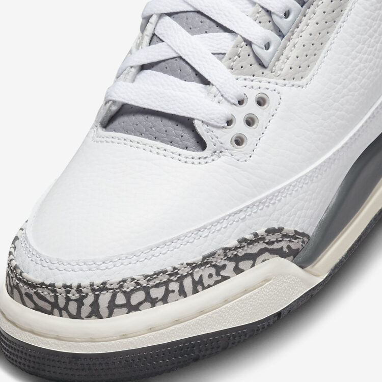 Air Jordan 3 GS "Hide N' Sneak" DX6665-100