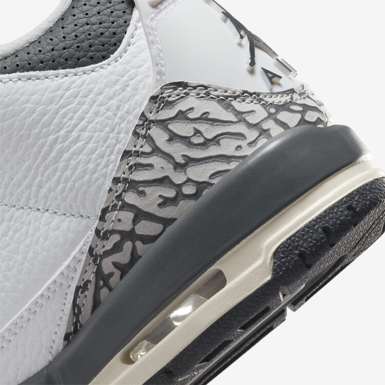 Air Jordan 3 GS "Hide N' Sneak" DX6665-100