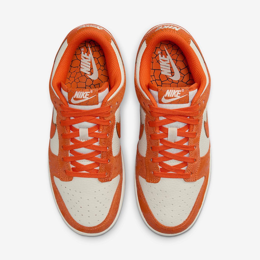 Nike Dunk Low FN7773-001