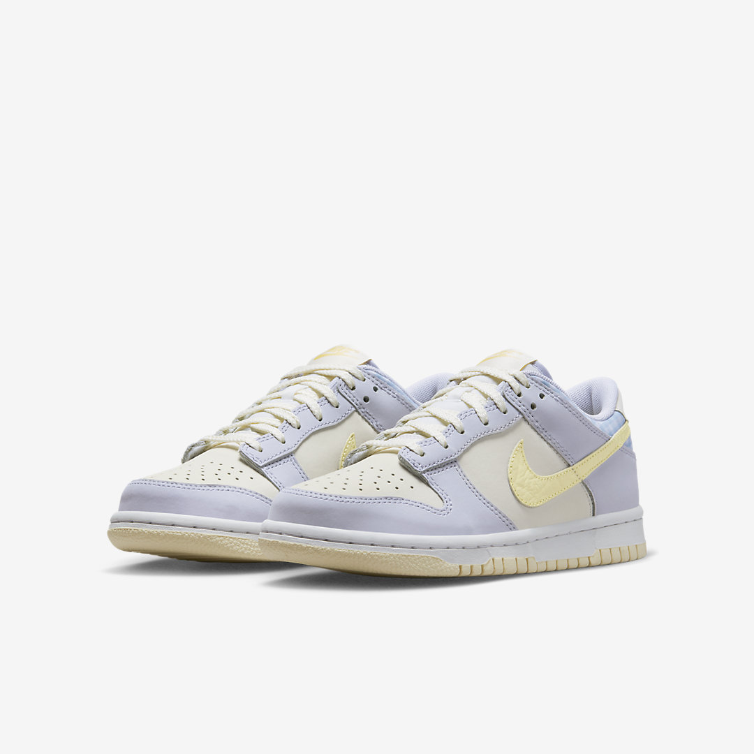 Nike Dunk Low GS FJ4641-536