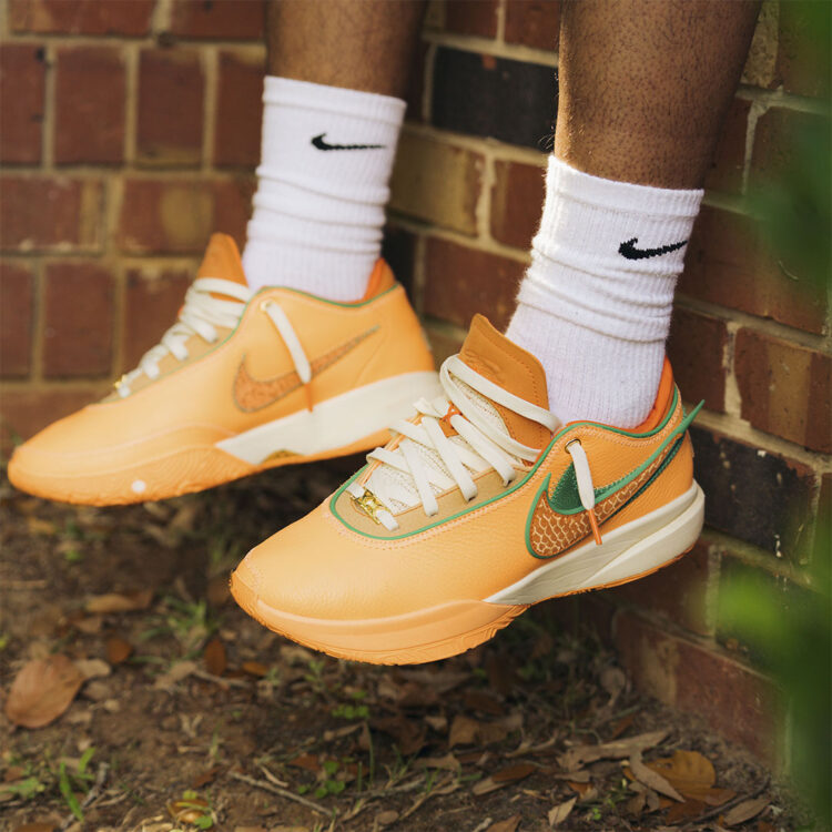 APB x FAMU x Nike LeBron 20 Pack