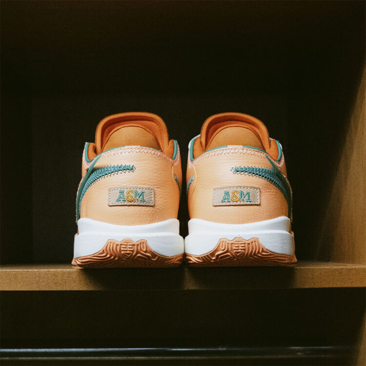 APB x FAMU x Nike LeBron 20 Pack