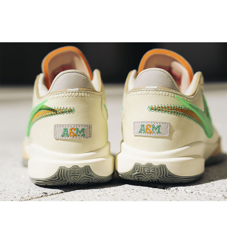 APB x FAMU x Nike LeBron 20 Pack