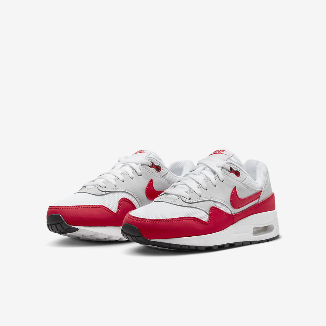 Nike Air Max 1 GS DZ3307-003