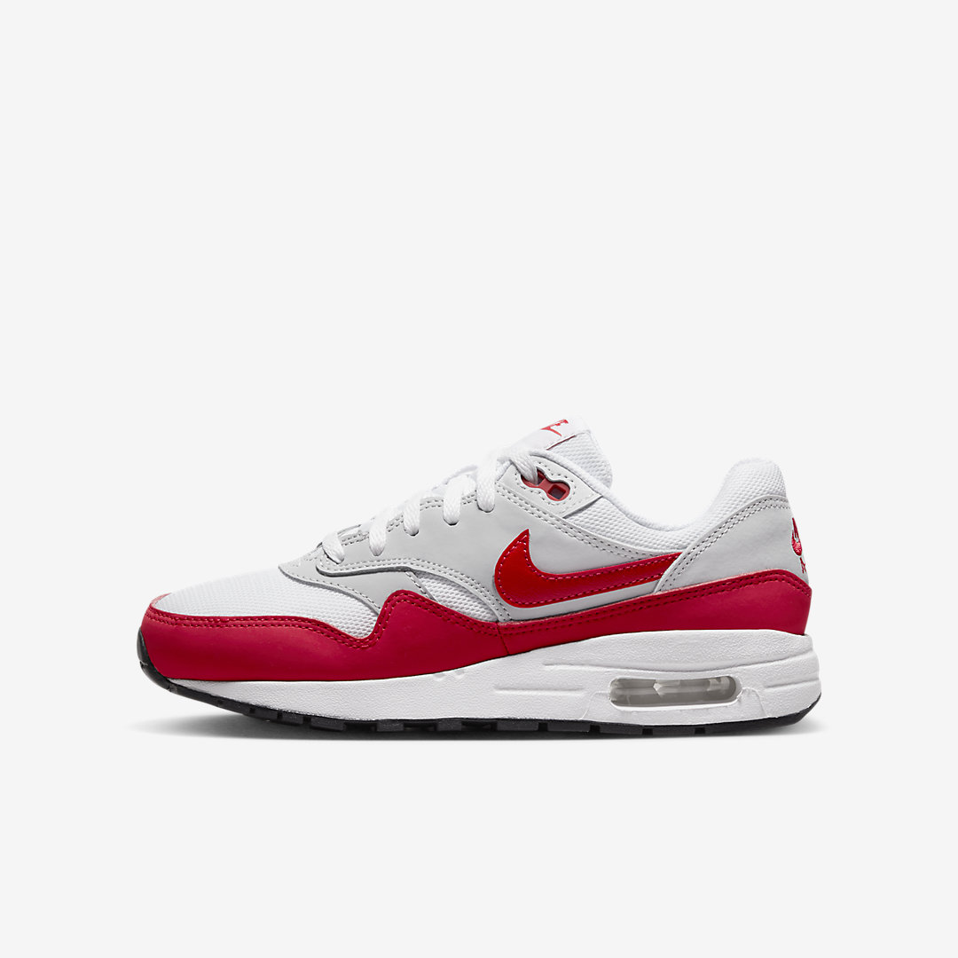 Nike Air Max 1 GS DZ3307-003