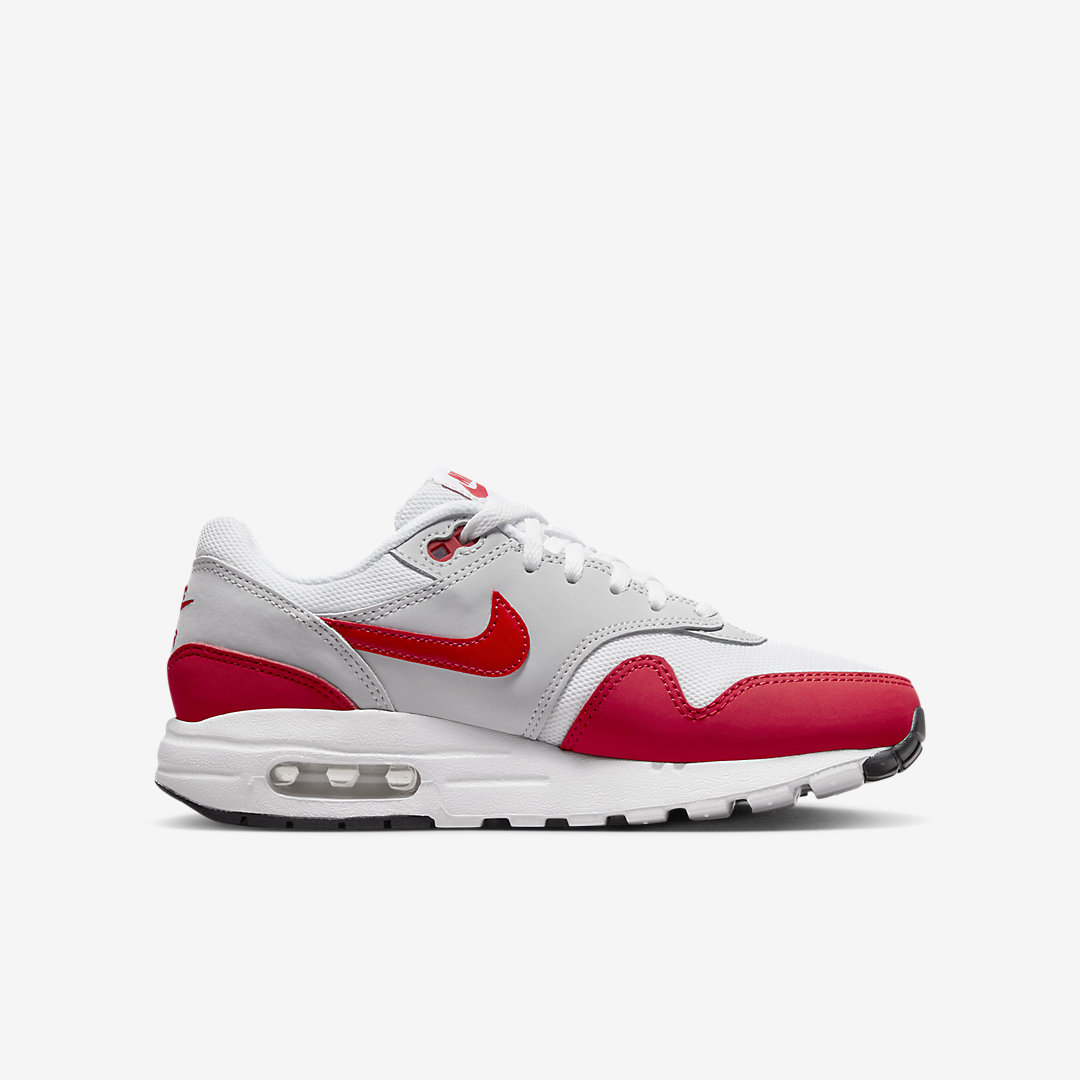 Nike Air Max 1 GS DZ3307-003