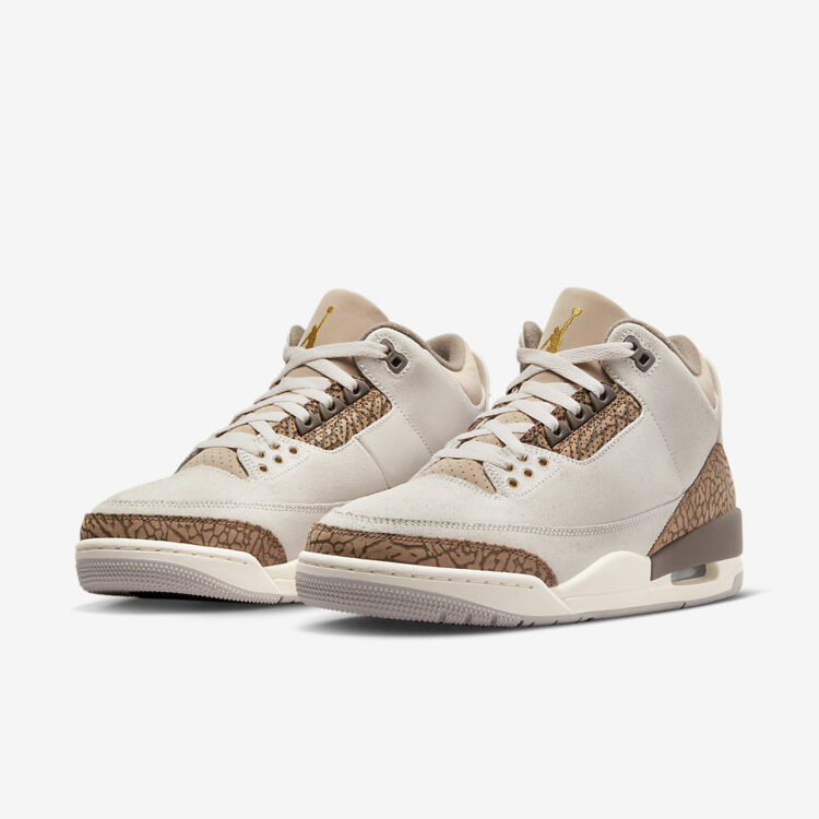 Air Jordan 3 "Palomino" CT8532-102