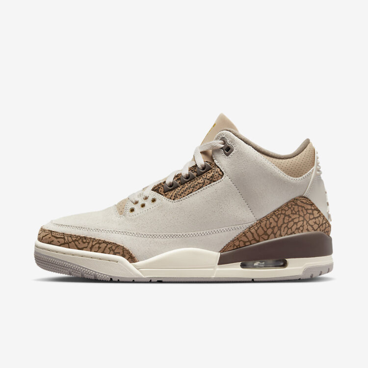 Air Jordan 3 "Palomino" CT8532-102