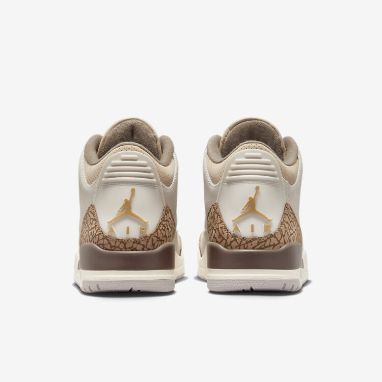 Air Jordan 3 "Palomino" CT8532-102