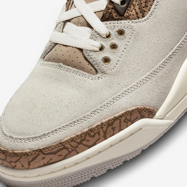 Air Jordan 3 "Palomino" CT8532-102