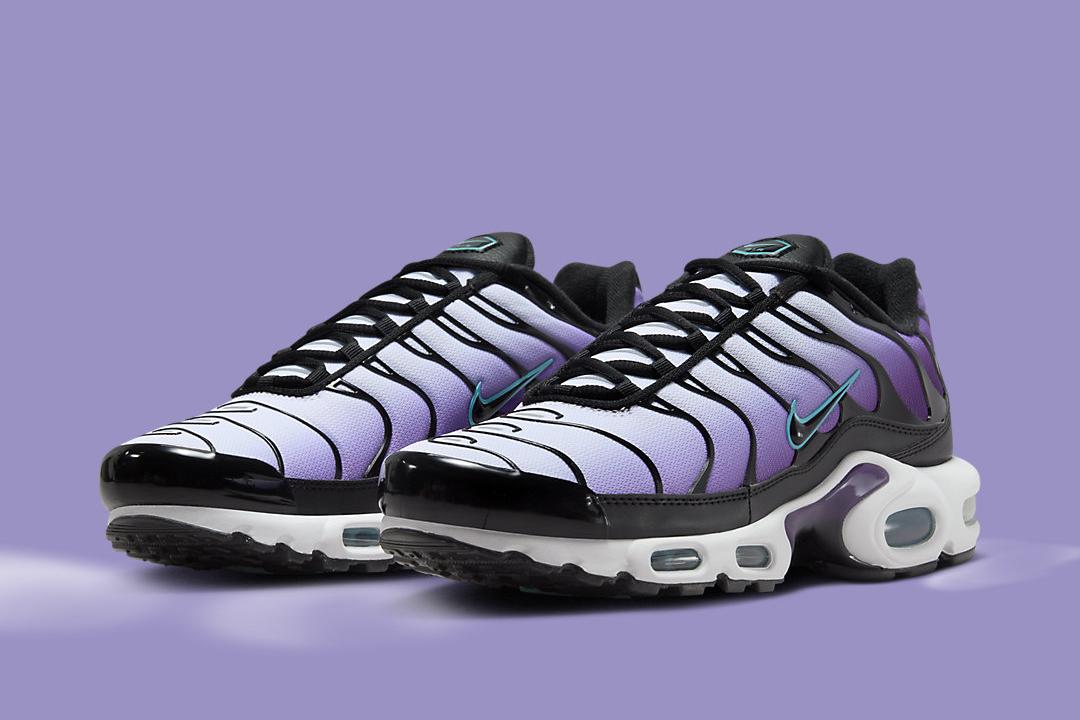 Nike Air Max Plus "Reverse Grape" FQ2415-500