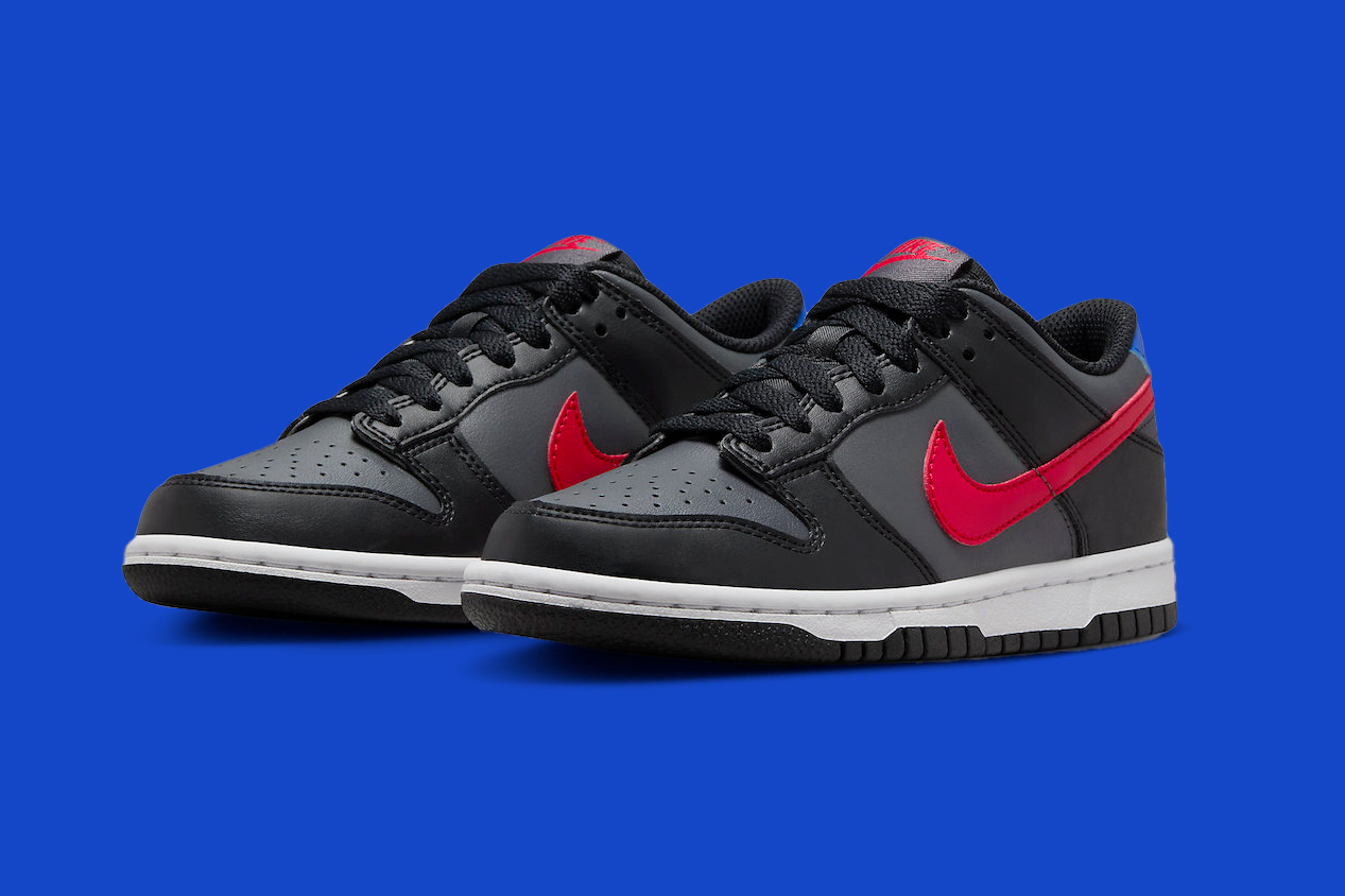 Nike Dunk Low GS Black/Grey FV0373-001