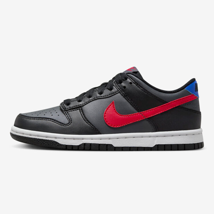 Nike Dunk Low GS Black/Grey FV0373-001