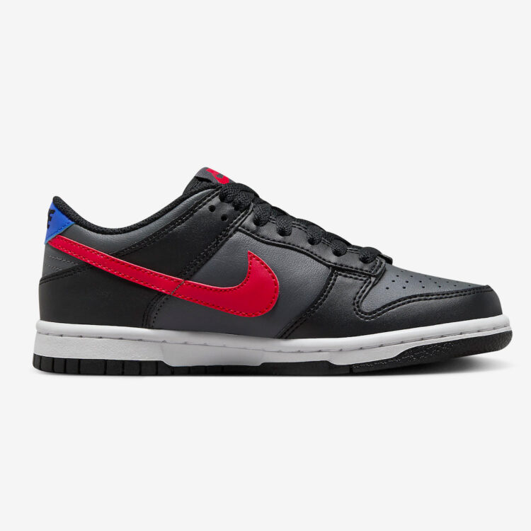 Nike Dunk Low GS Black/Grey FV0373-001