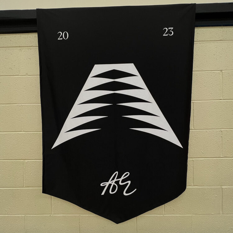 Anthony Edwards' Adidas AE 1 Logo