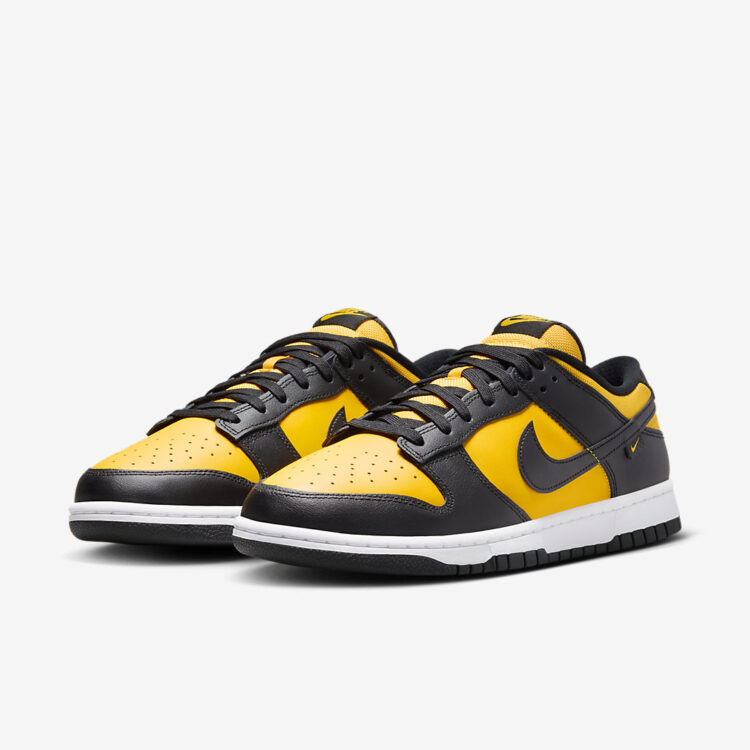 Nike Dunk Low FZ4618-001