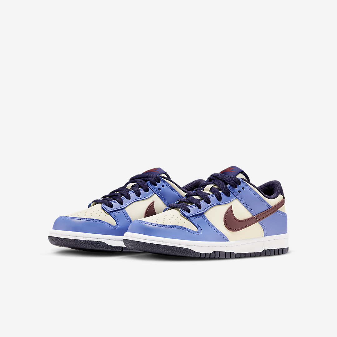 Nike Dunk Low GS FV8119-161