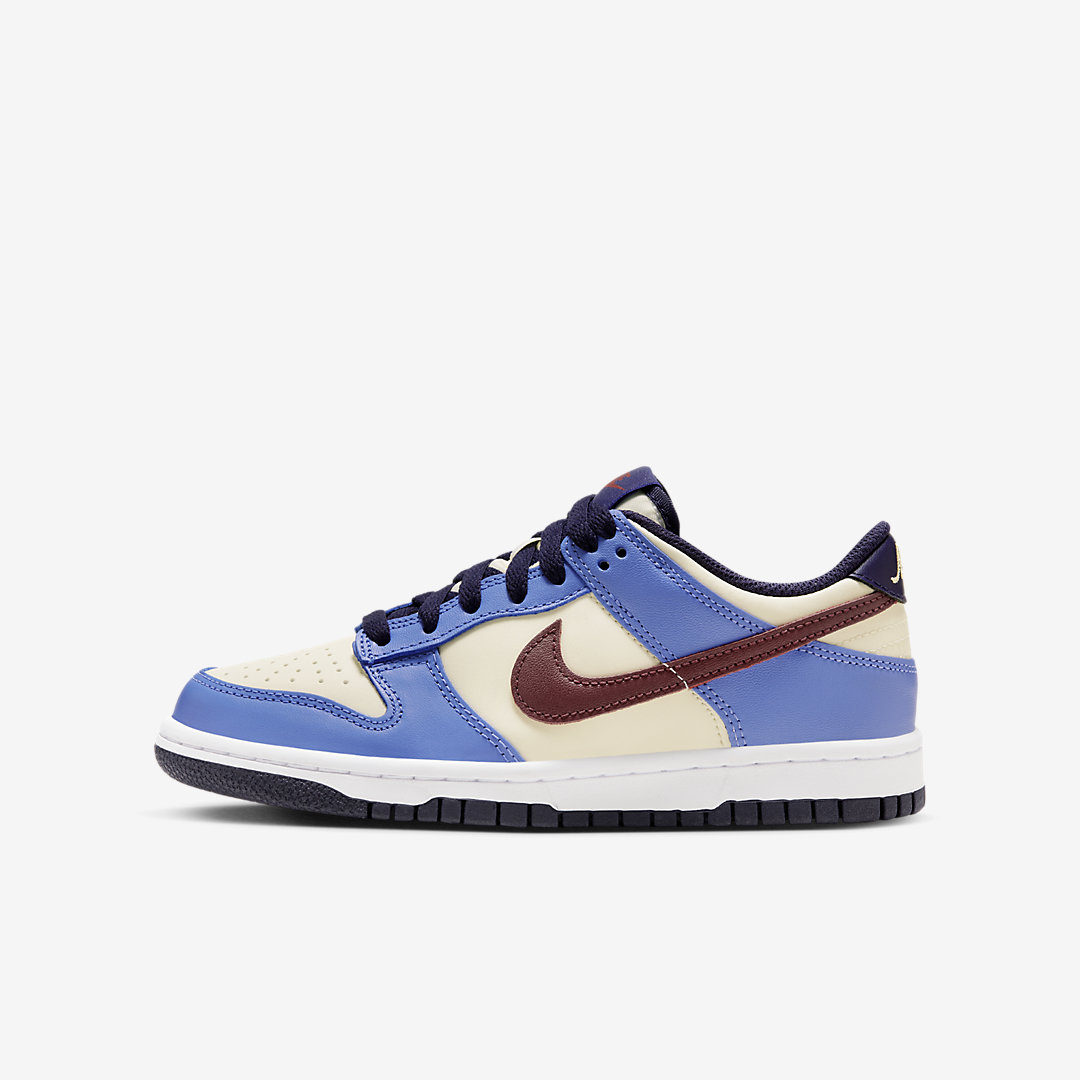 Nike Dunk Low GS FV8119-161