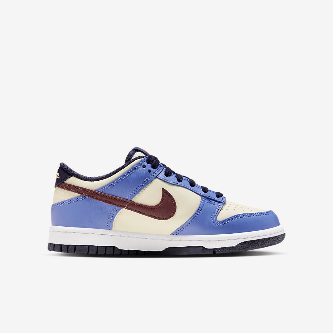 Nike Dunk Low GS FV8119-161