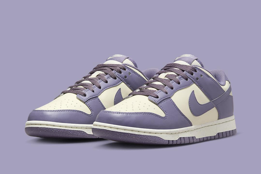 Nike Dunk Low Next Nature FZ4349-100