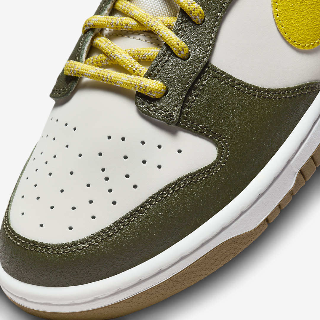 Nike Dunk Low Premium FV3629-371