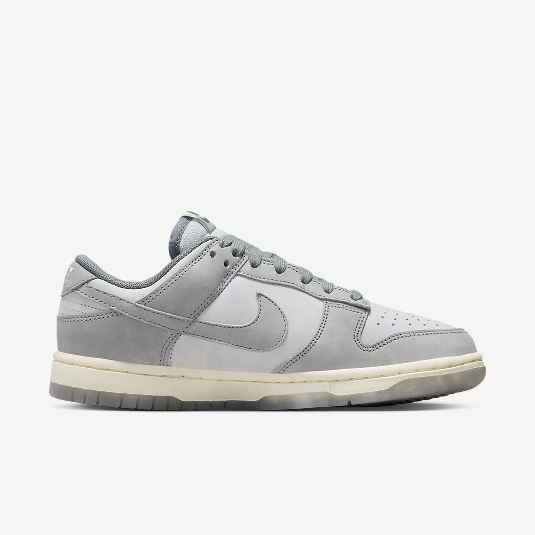 Nike Dunk Low WMNS FV1167-001