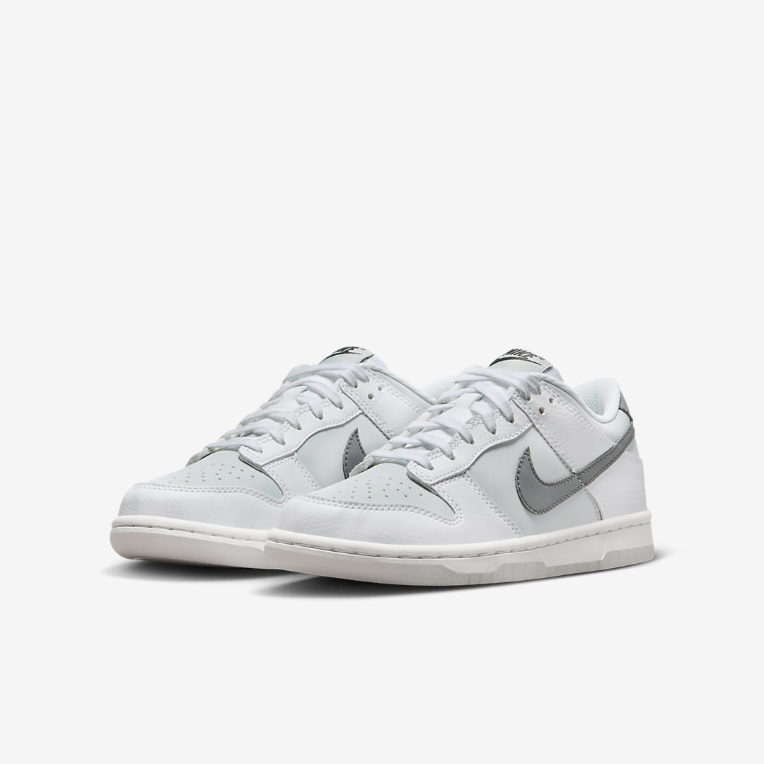 Nike Dunk Low GS FV0365-100