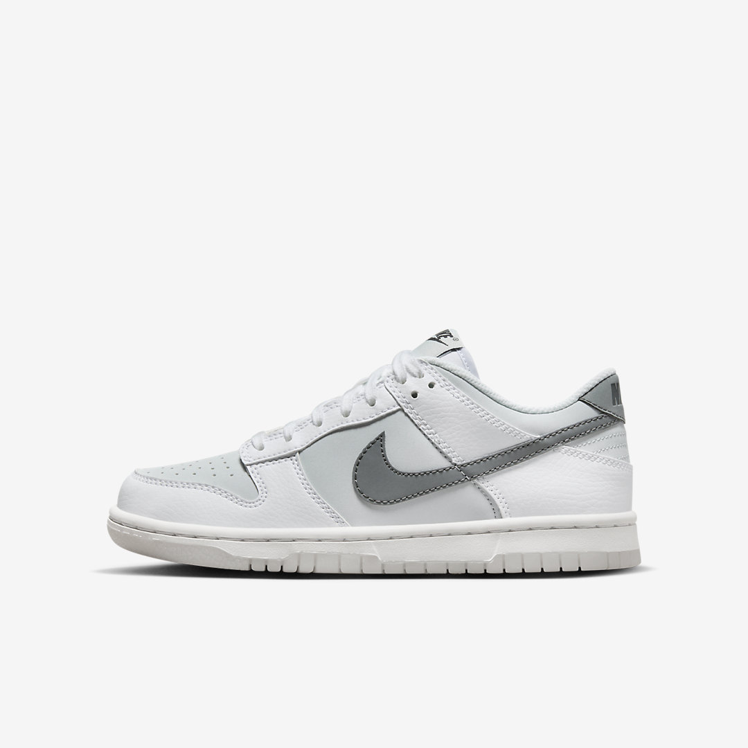 Nike Dunk Low GS FV0365-100