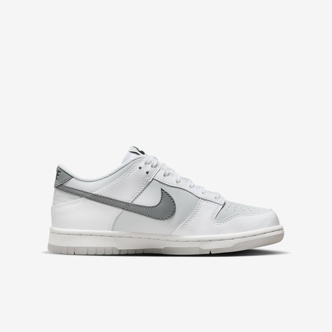 Nike Dunk Low GS FV0365-100