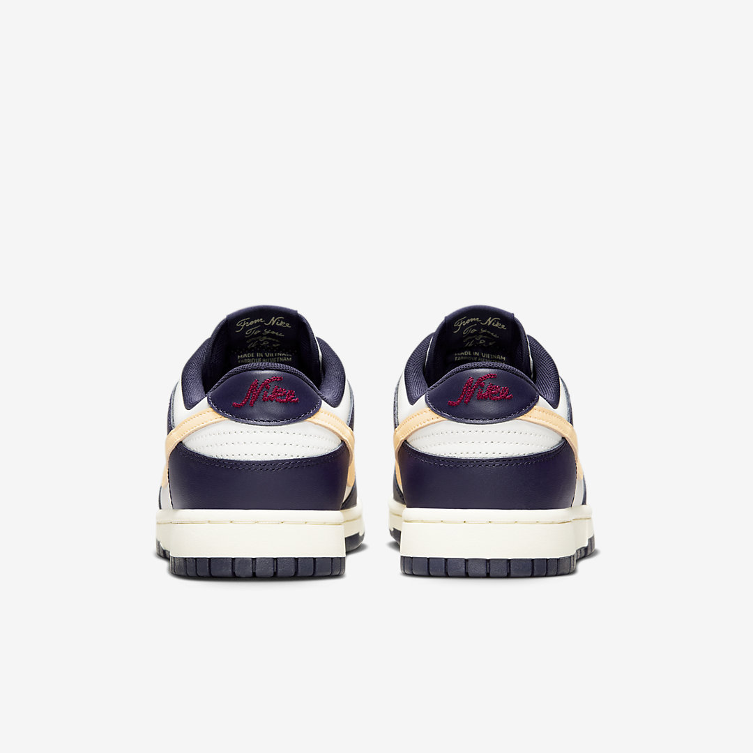 Nike Dunk Low FV8106-181