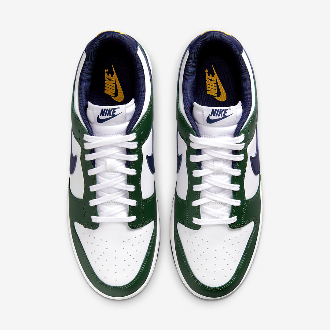 Nike Dunk Low FV6911-300