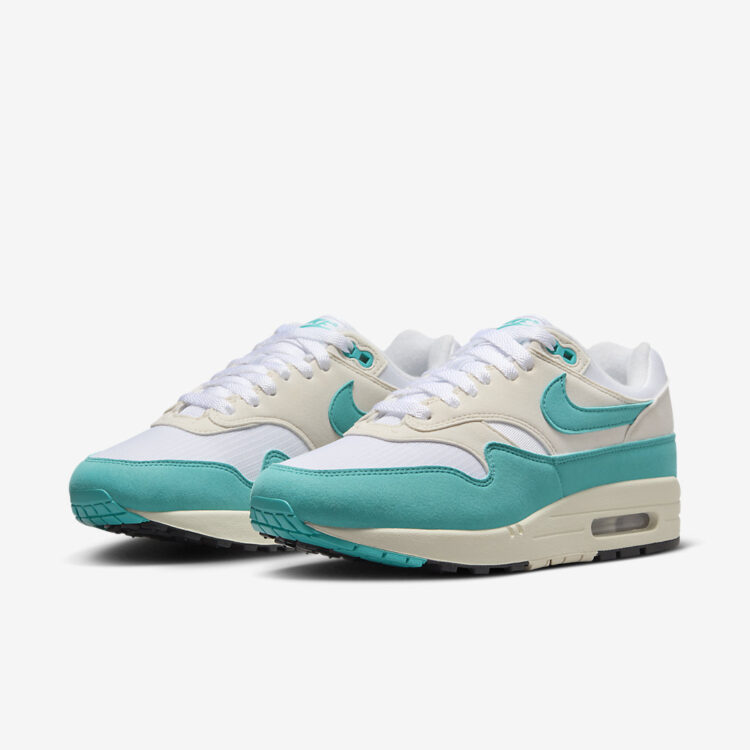 Nike Air Max 1 WMNS "Dusty Cactus" DZ2628-107