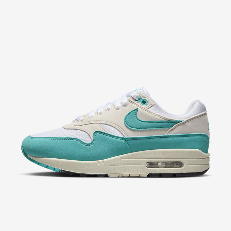 Nike Air Max 1 WMNS "Dusty Cactus" DZ2628-107