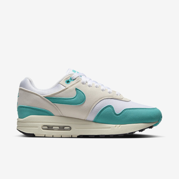 Nike Air Max 1 WMNS "Dusty Cactus" DZ2628-107