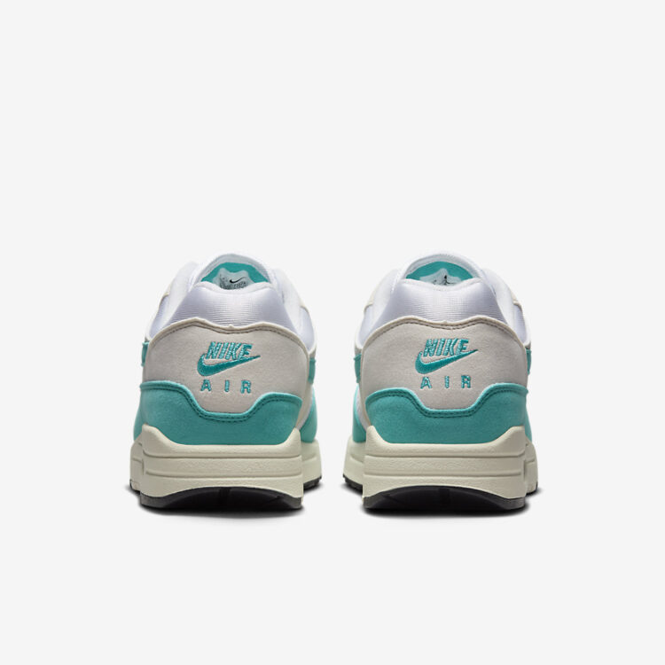 Nike Air Max 1 WMNS "Dusty Cactus" DZ2628-107